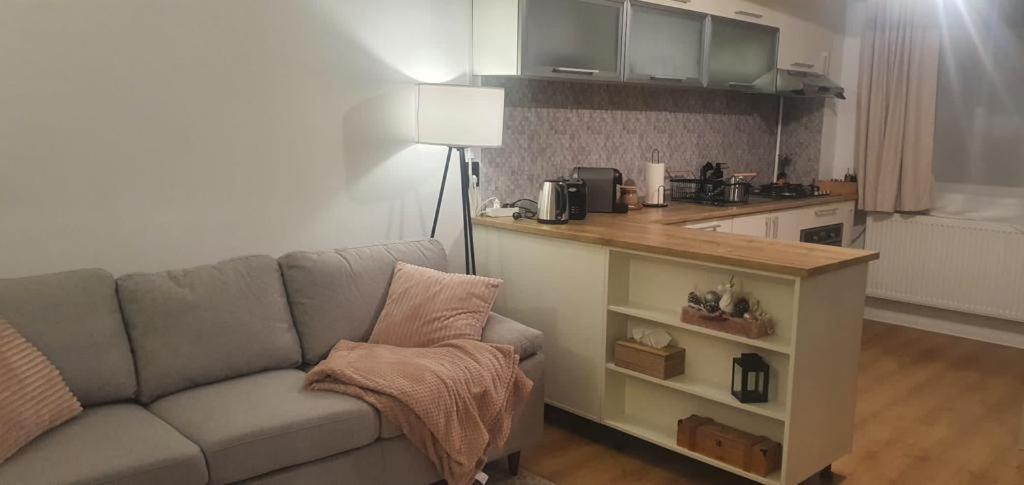 Magda Apartment Sibiu Exteriör bild